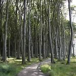 Ostseemuschel Lägenhet