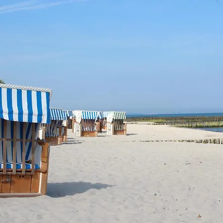 Ostseemuschel *