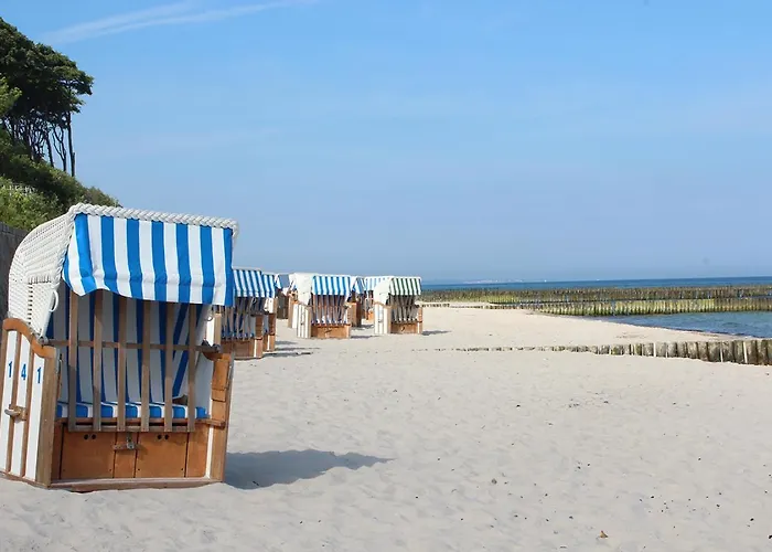 Ostseemuschel *