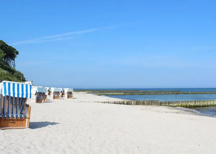 Ostseemuschel Apartman *