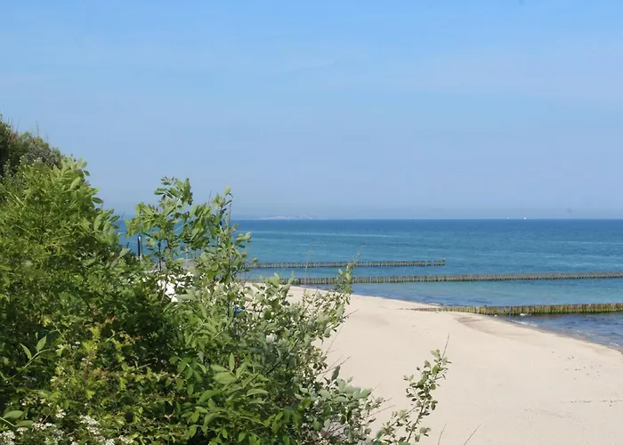Ostseemuschel * Ostseebad Nienhagen