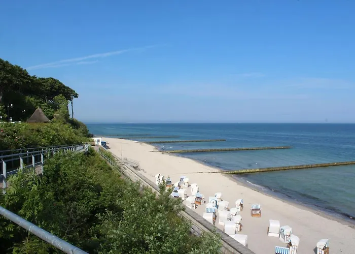 Ostseemuschel Ostseebad Nienhagen
